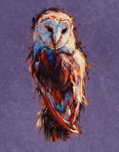 Nightwatch Owl Hoodie